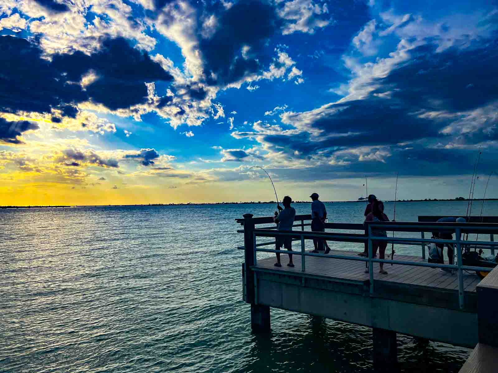 Fishing southwest florida