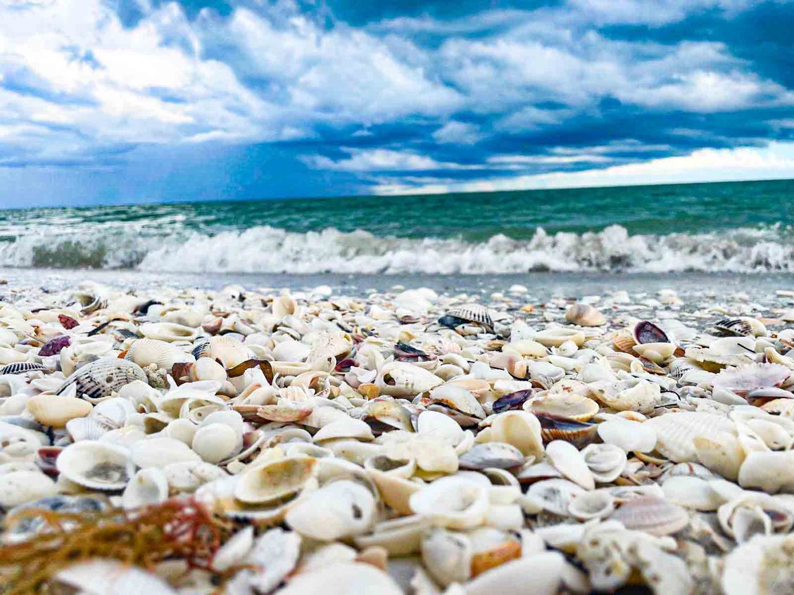 Gulfside City Park Algiers Beach