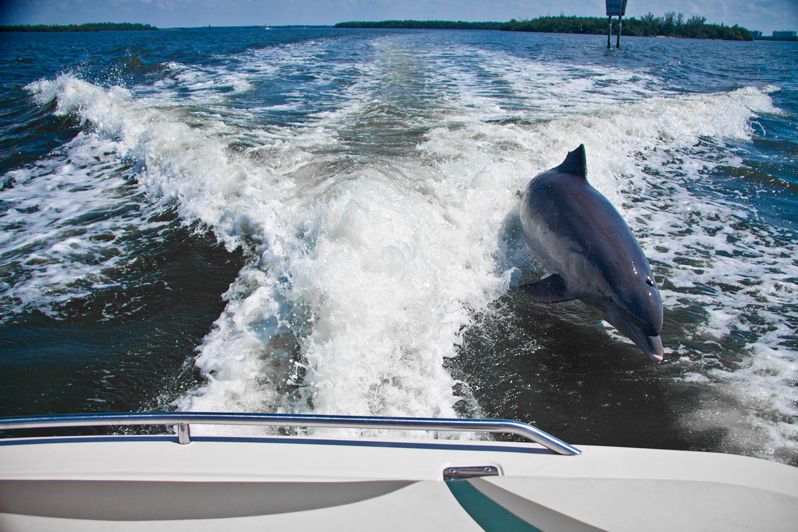 boat cape coral