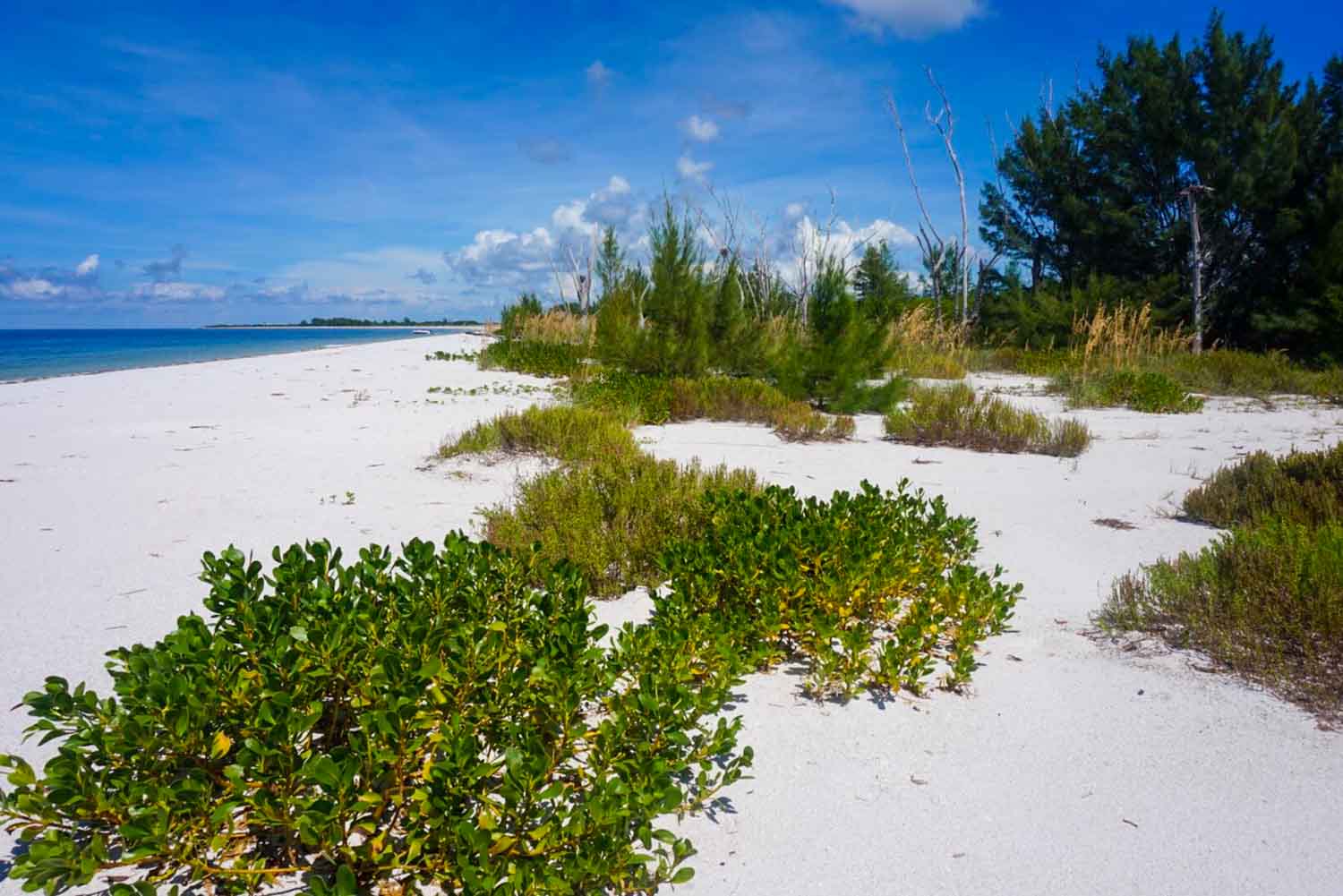 Lovers Key State Park